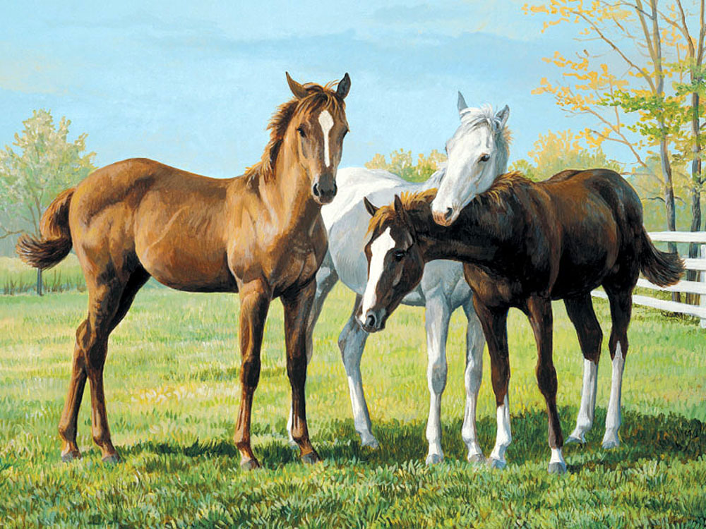 Лошадь 3 месяца. Персис Клейтон Вейерс лошади. Персис Клейтон Вейерс картины лошадей. «Лошадь с жеребенком» а. Горбатова.. Американский Пейнтхорс лошадь.