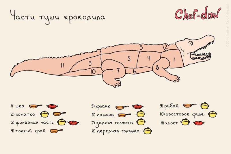 И напоследок — как готовить крокодила Шпаргалки, кухня, открытки