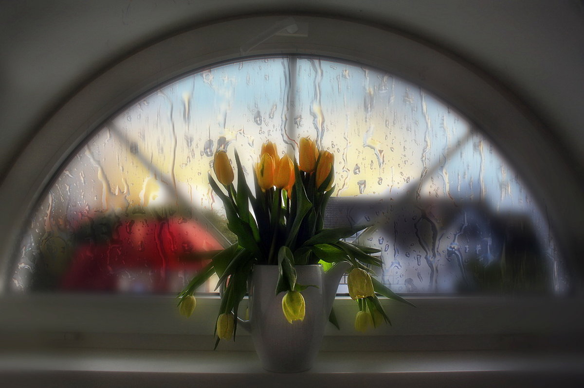 Утро стучит в окно. Весеннее окно. Окно в цветах.